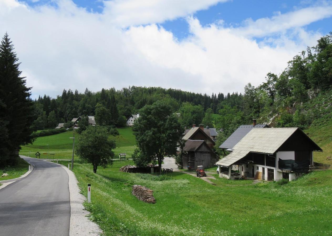 Tourist Farm Pr' Maretc Apartment Bohinjska Bistrica ภายนอก รูปภาพ