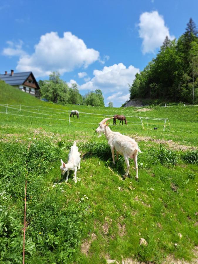 Tourist Farm Pr' Maretc Apartment Bohinjska Bistrica ภายนอก รูปภาพ